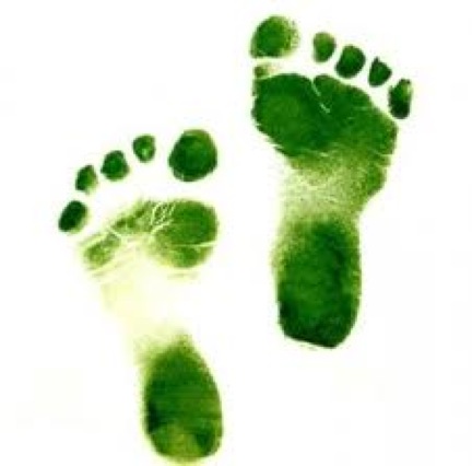 go green baby steps2 GO GREEN TIP #65: Baby Steps To Green